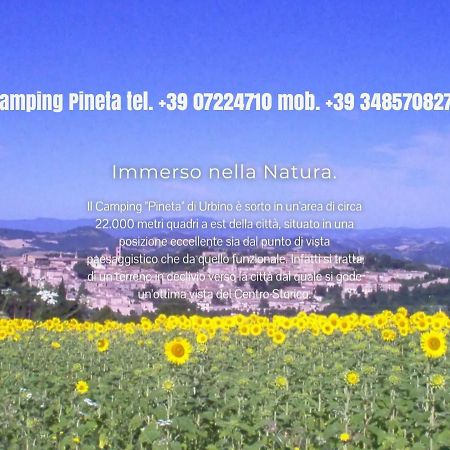 Camping Pineta Hotel Урбино Екстериор снимка