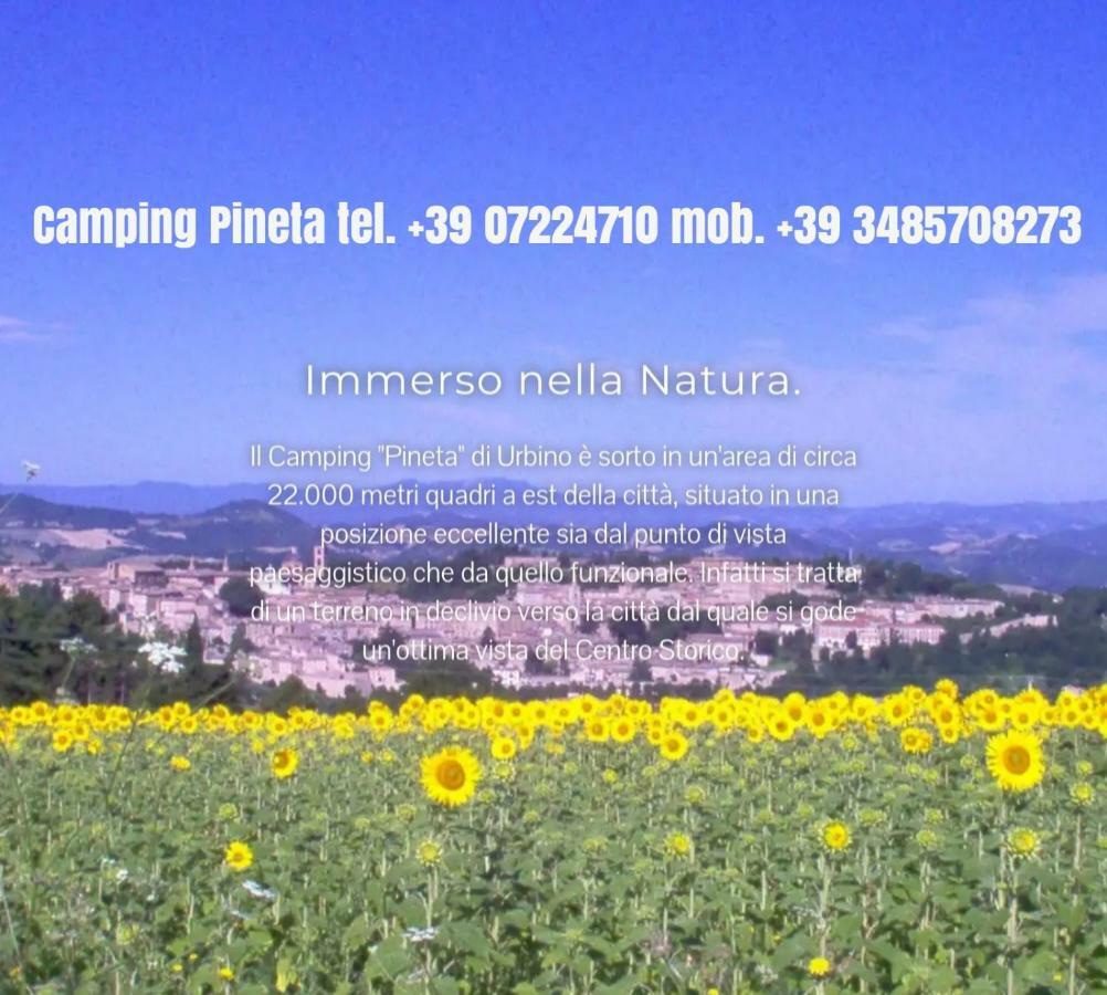 Camping Pineta Hotel Урбино Екстериор снимка